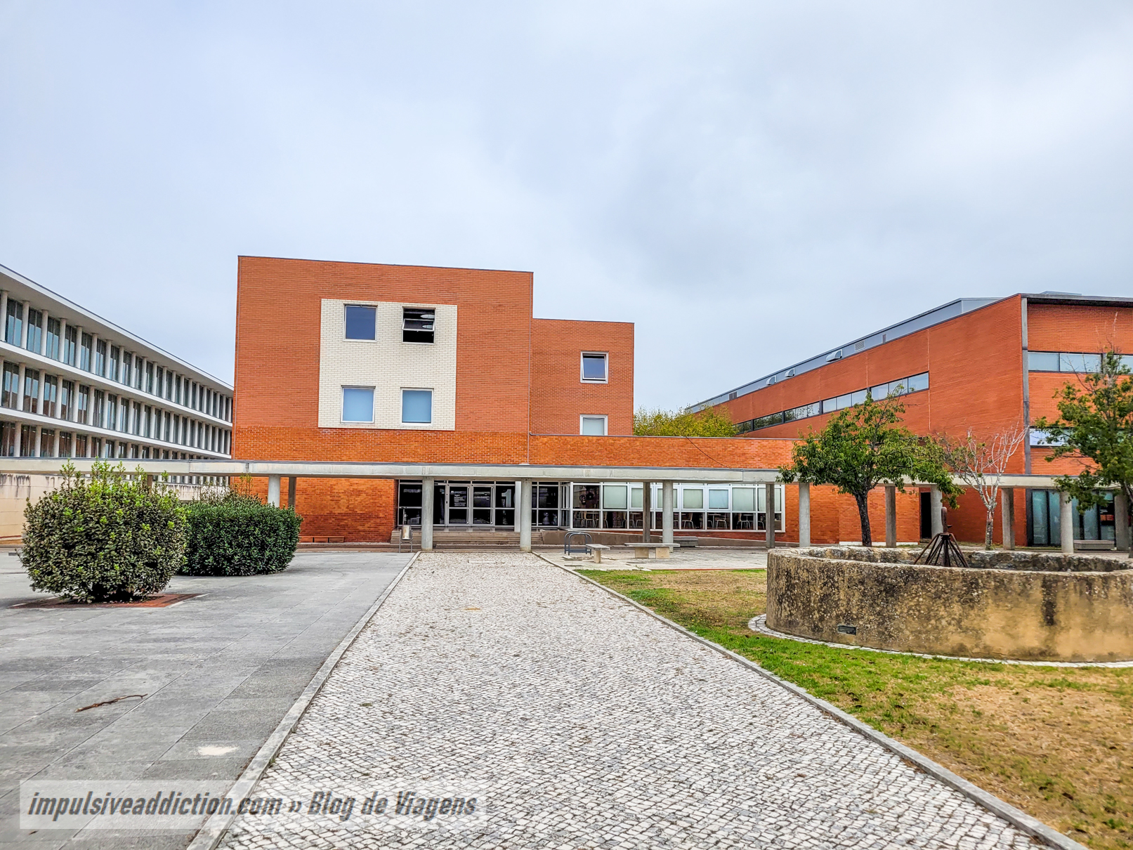 Main Avenue of the University of Aveiro