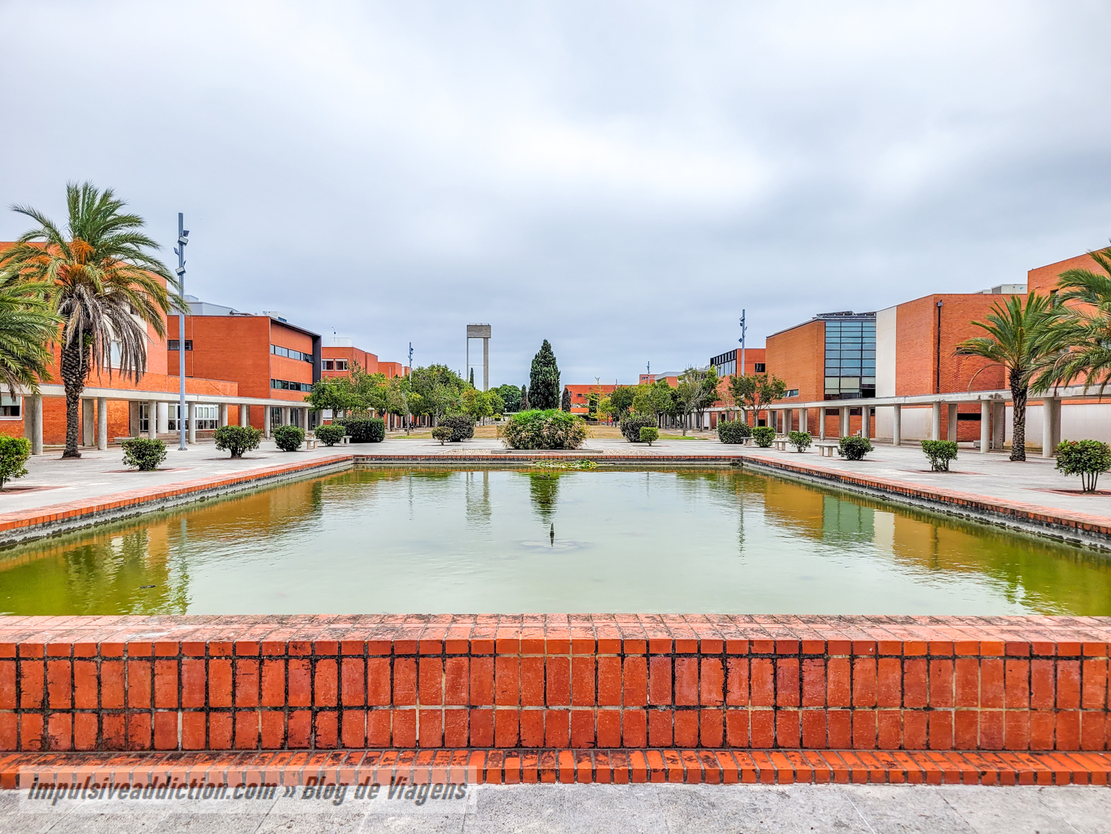 Main Avenue of the University of Aveiro