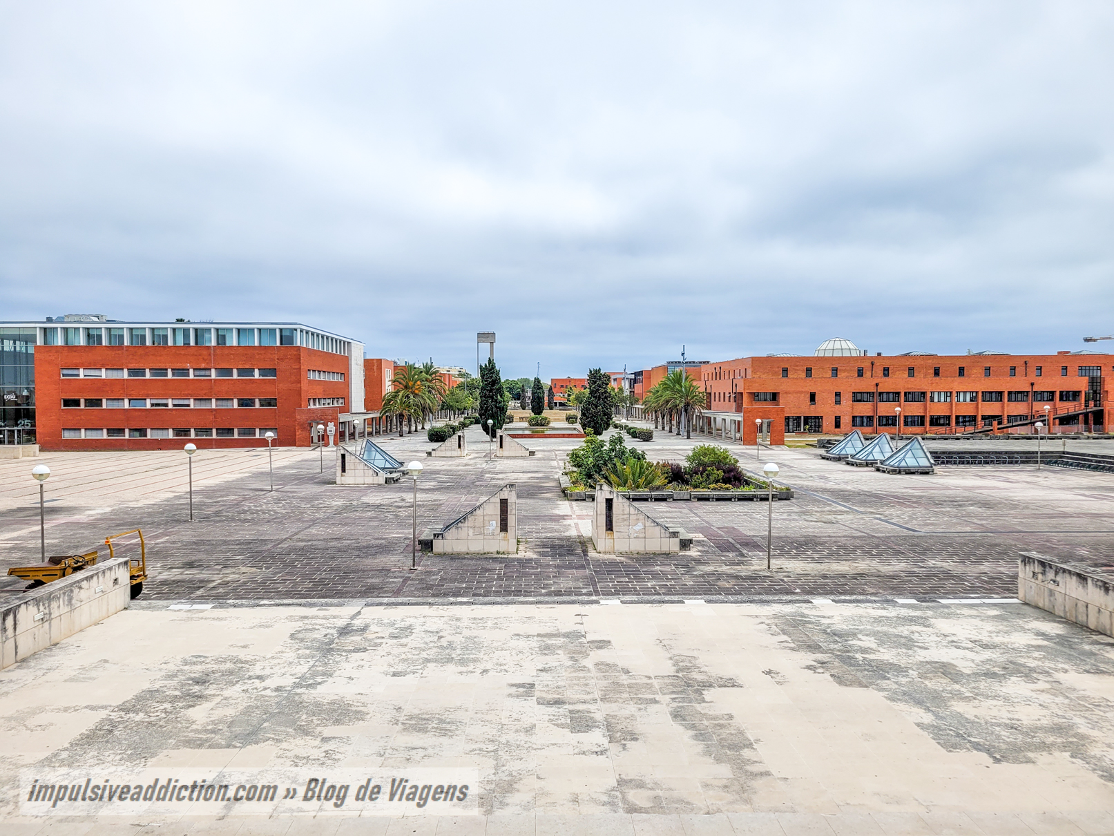 Main Avenue of the University of Aveiro