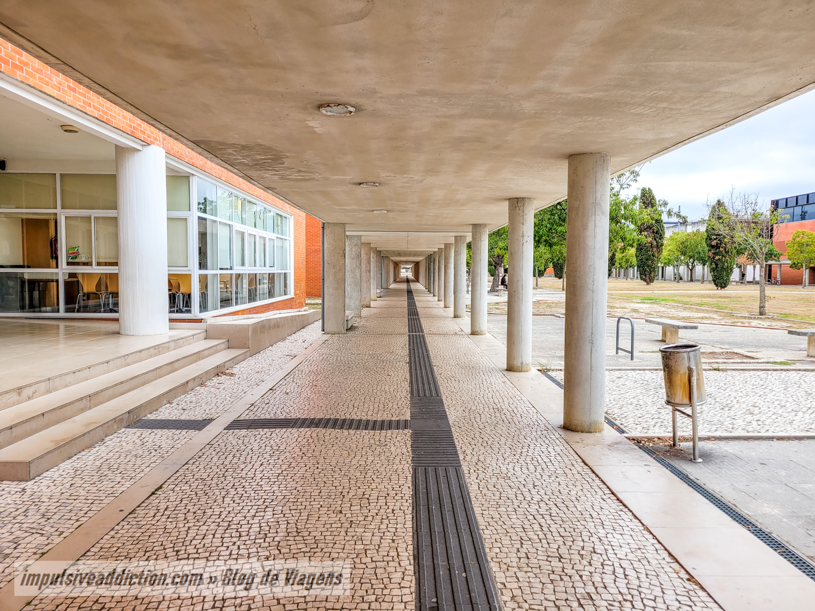 Main Avenue of the University of Aveiro