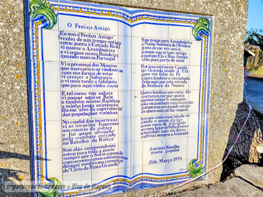 Poema ao Freixo Amigo