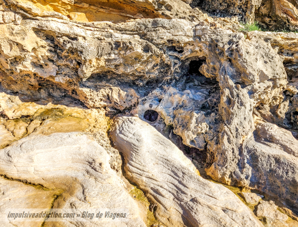 Blowing hole
