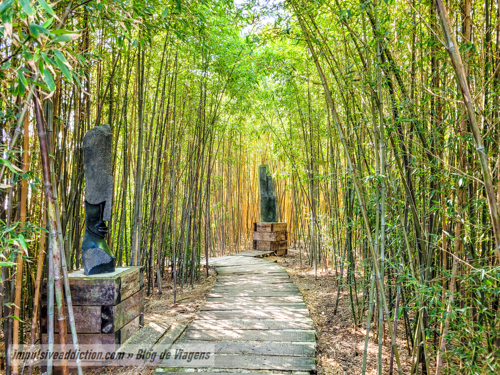 Labirinto de Bambu do Jardim dos Budas