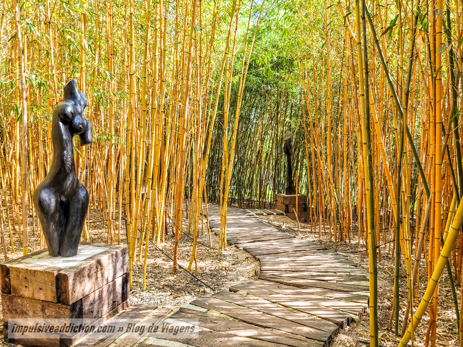 Labirinto de Bambu do Jardim dos Budas