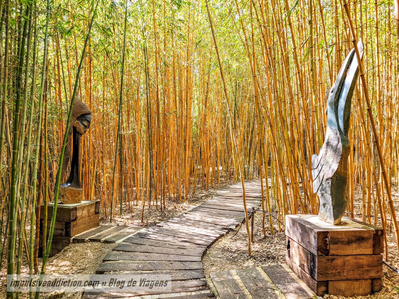 Labirinto de Bambu do Jardim dos Budas