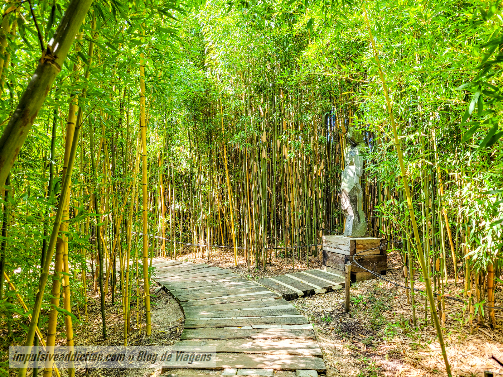 Labirinto de Bambu do Jardim dos Budas
