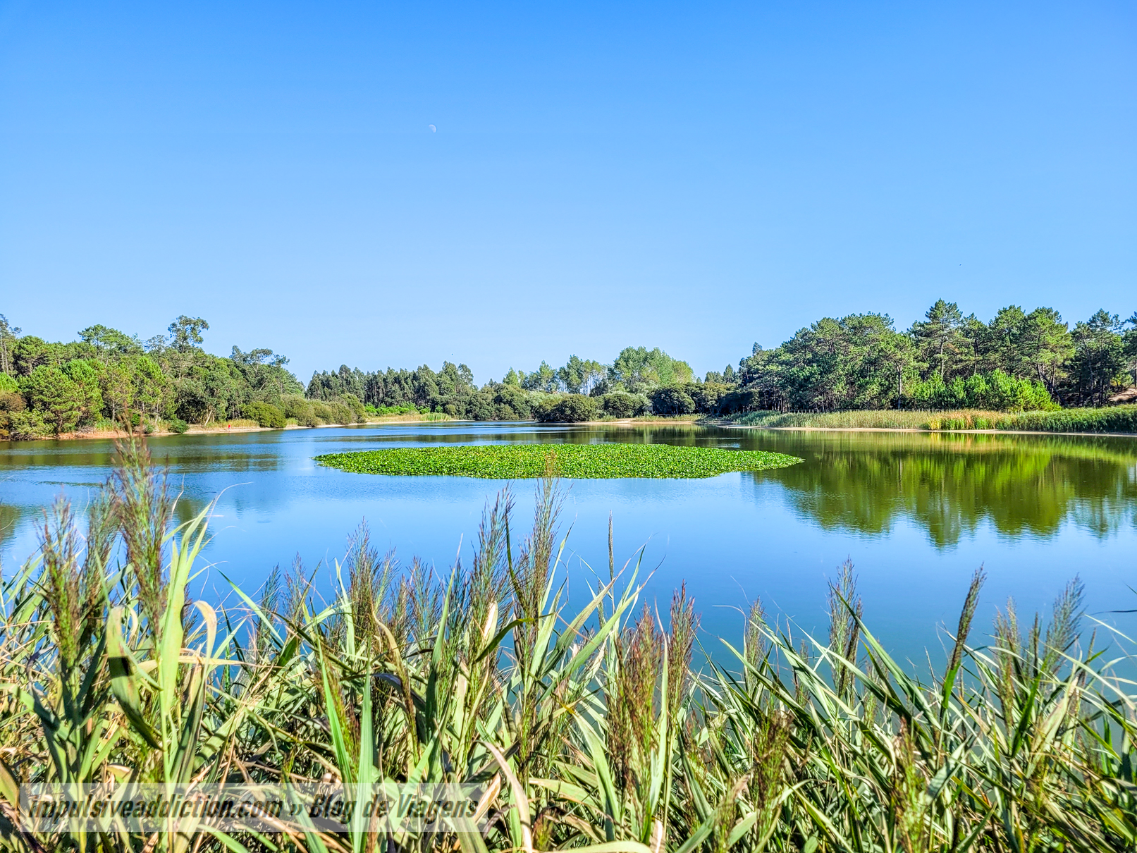 Lagoa de Pataias