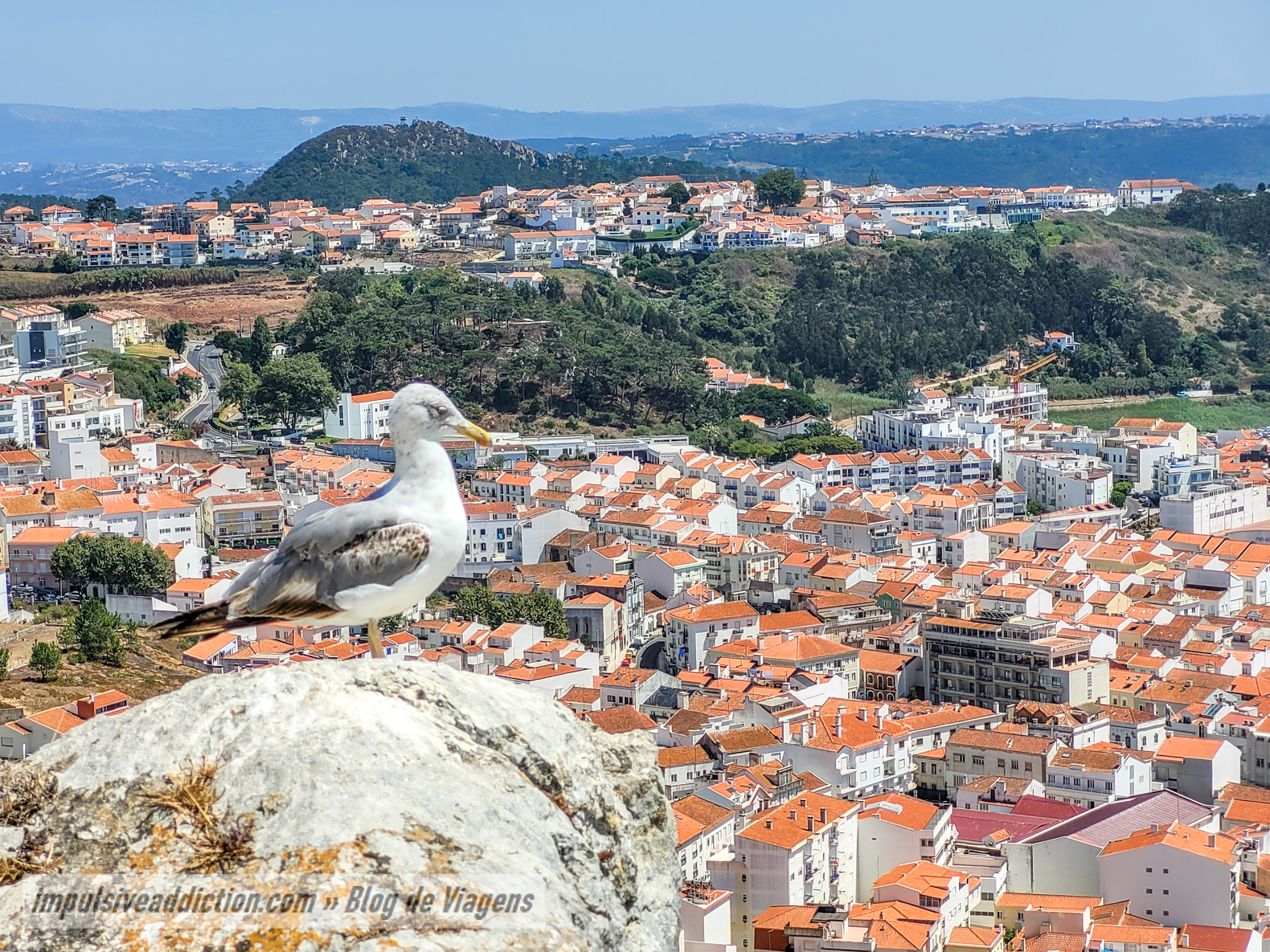 Miradouro da Rua do Horizonte