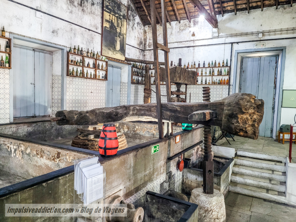 Museu do Vinho de Alcobaça