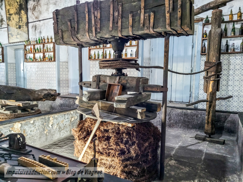 Museu do Vinho de Alcobaça