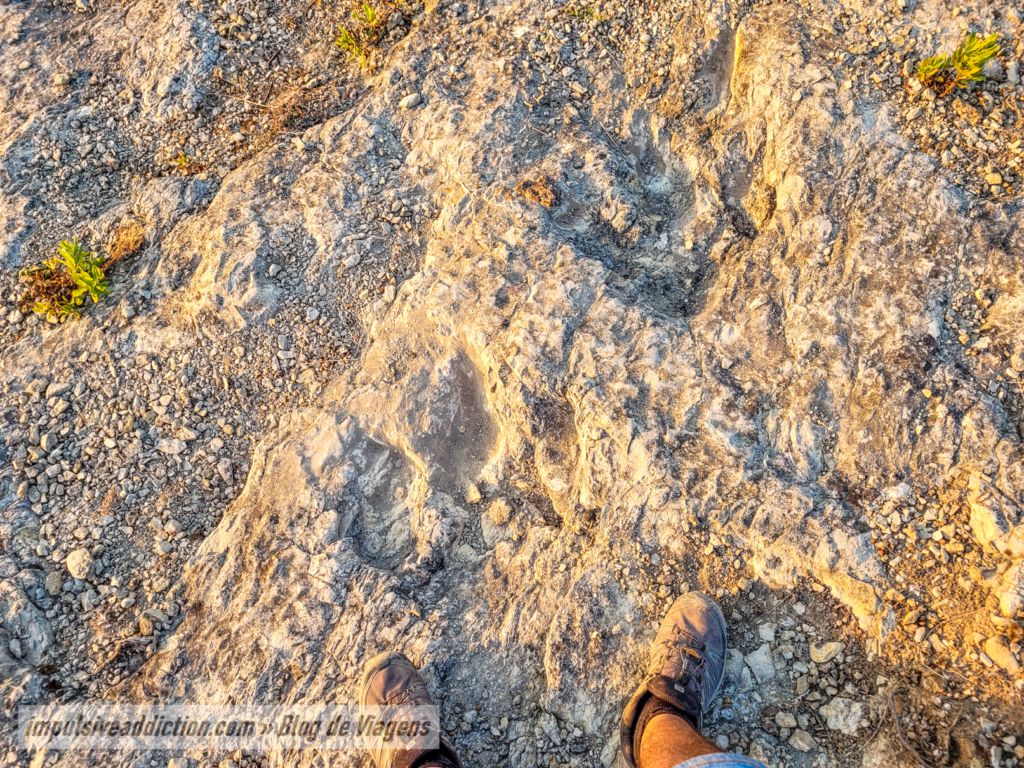 Dinosaur Footprints in the Coast of Nazaré