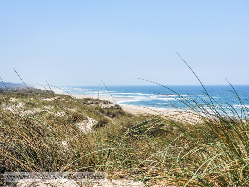 Praia do Samouco