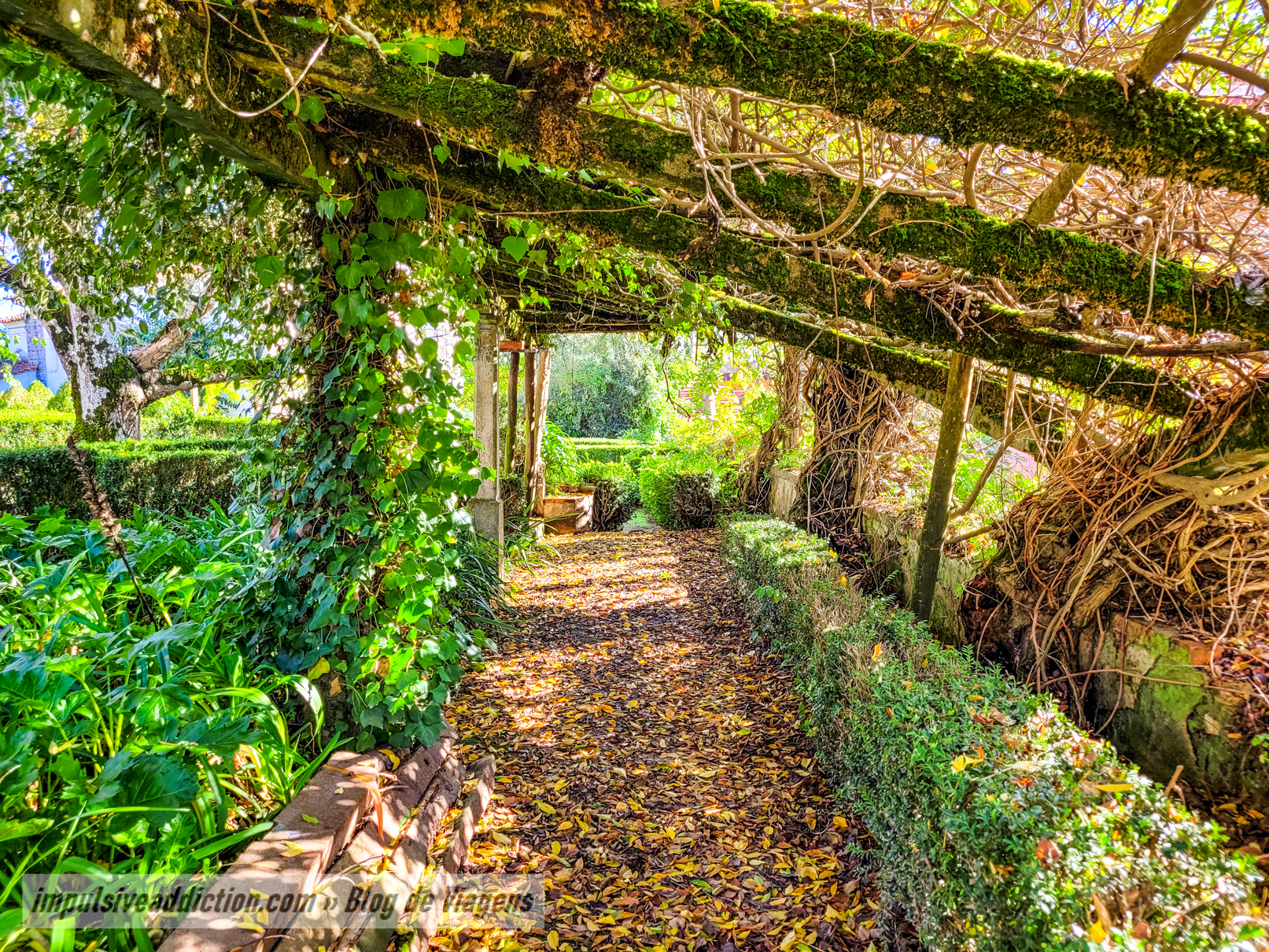 Jardim da Casa Abel Pereira da Fonseca