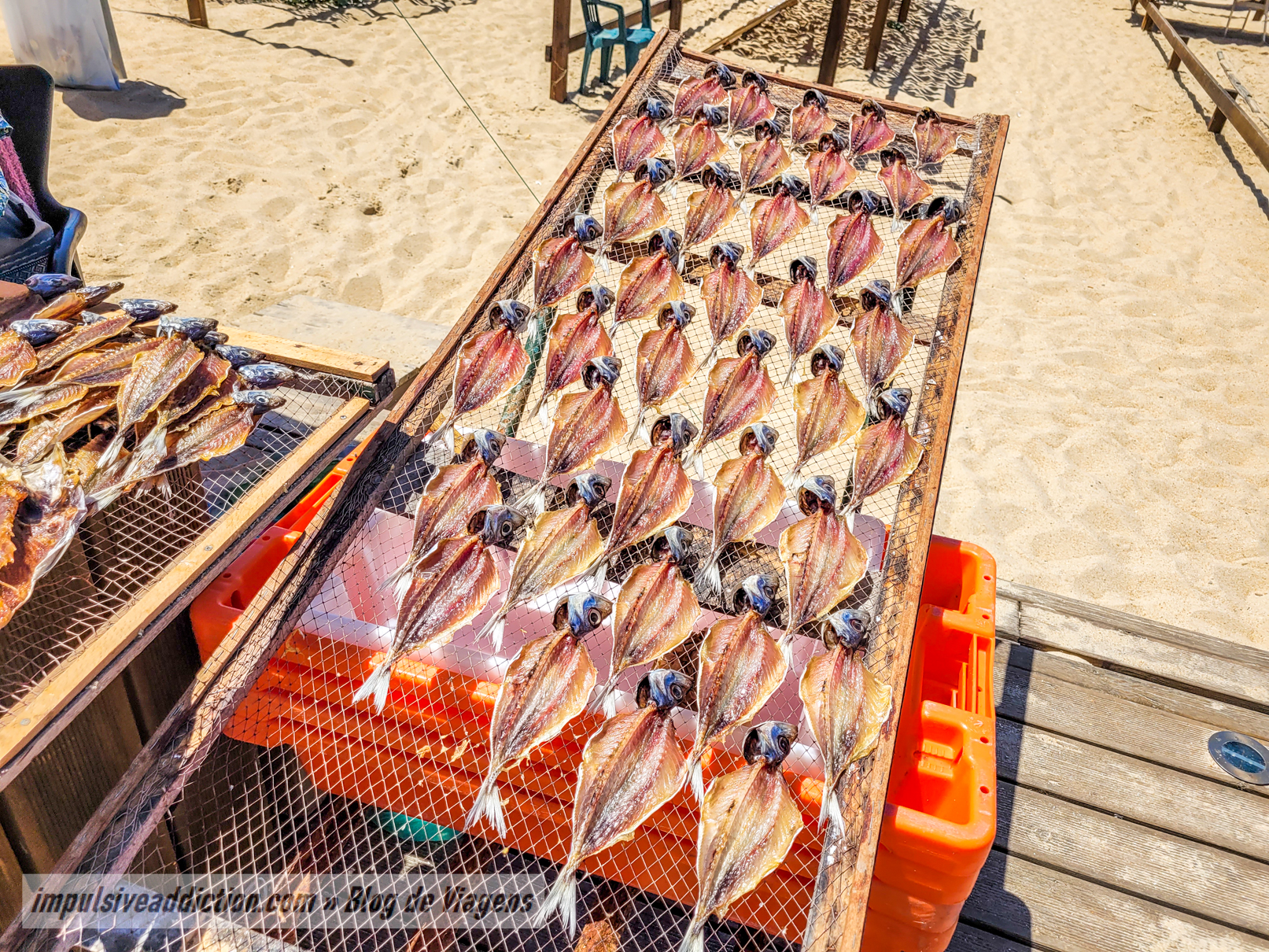 Estendais de Peixe Seco da Praia da Nazaré