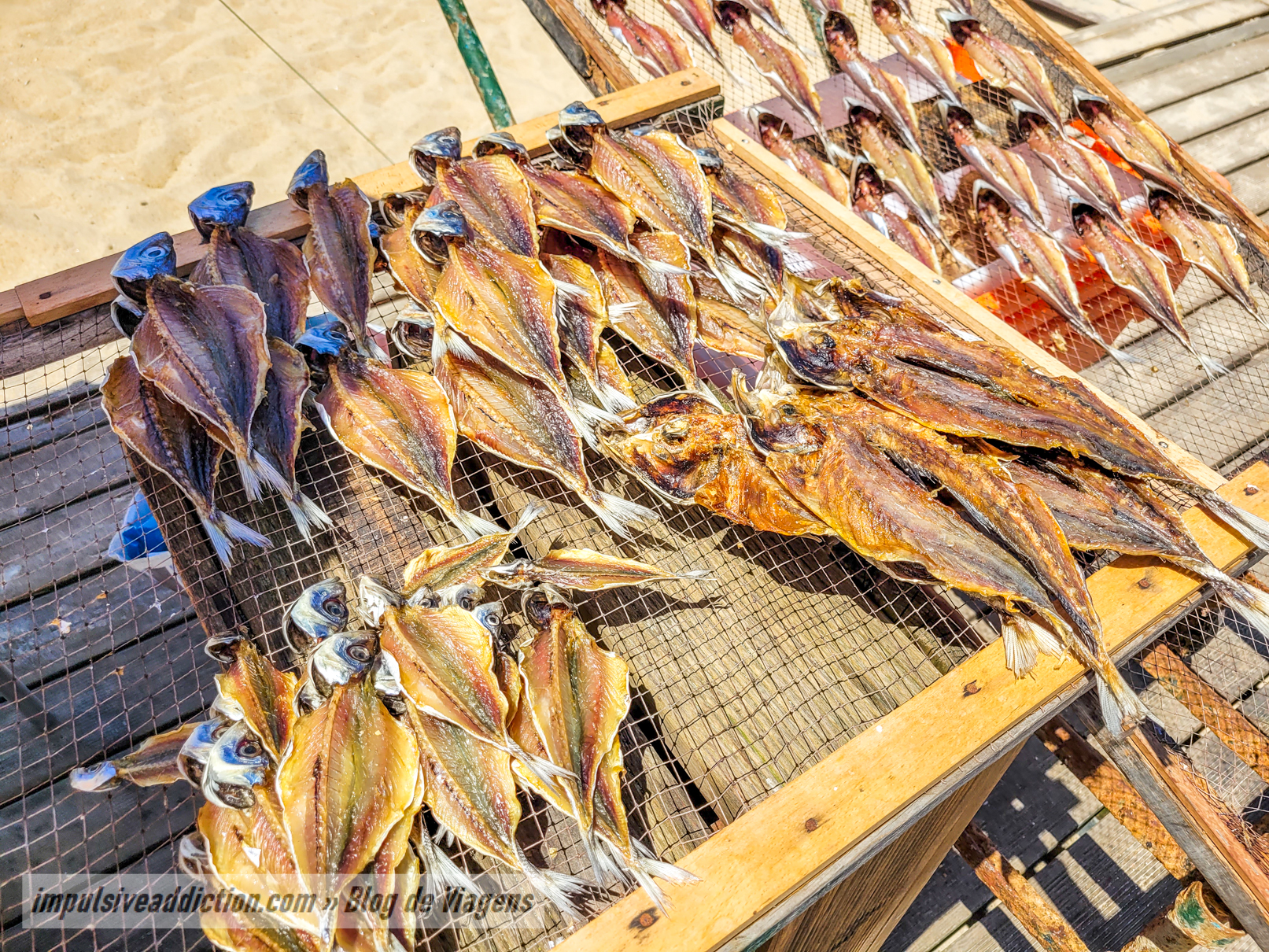 Dried Fish racks at Nazaré beach