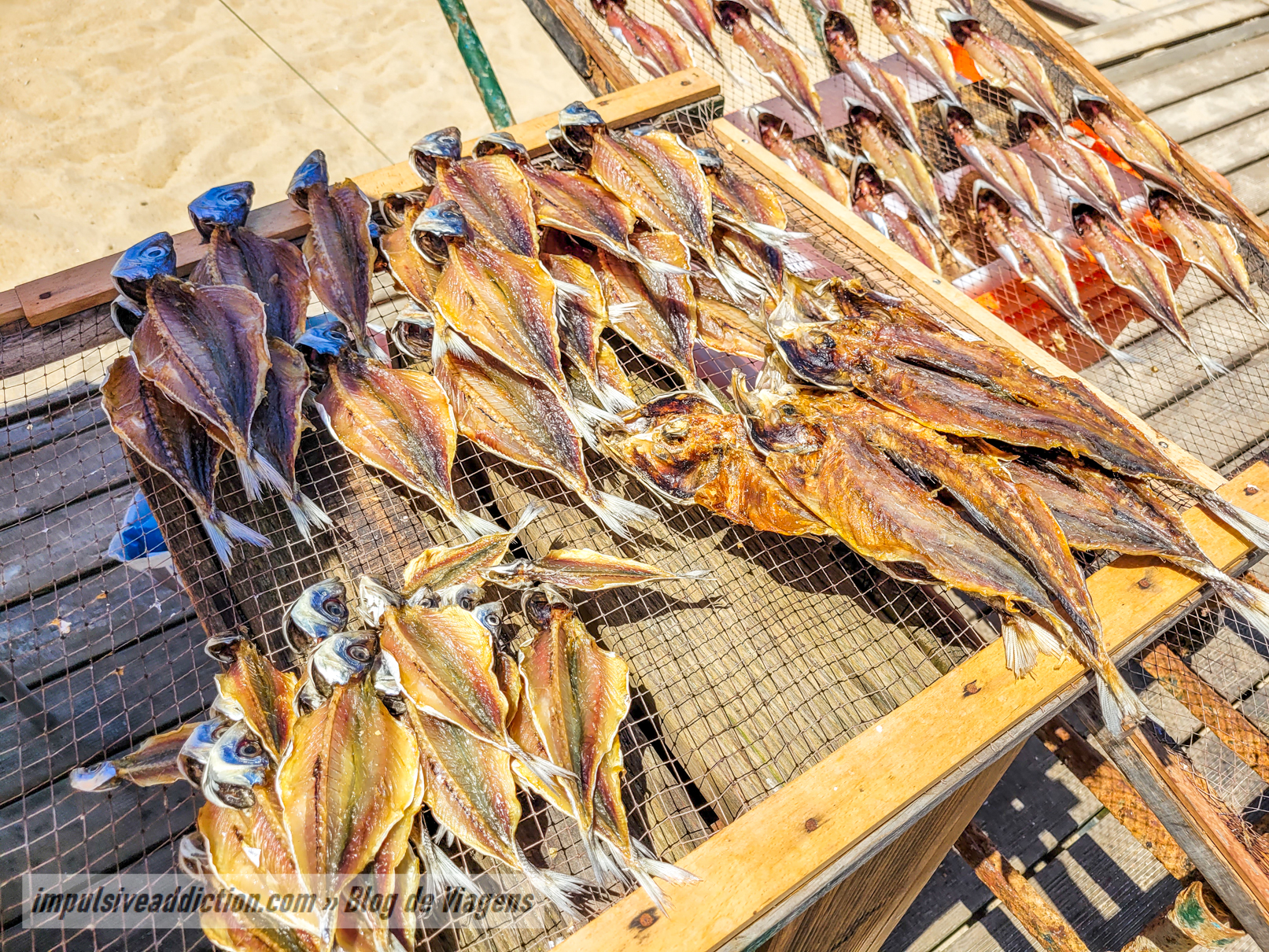 Estendais de Peixe Seco da Praia da Nazaré