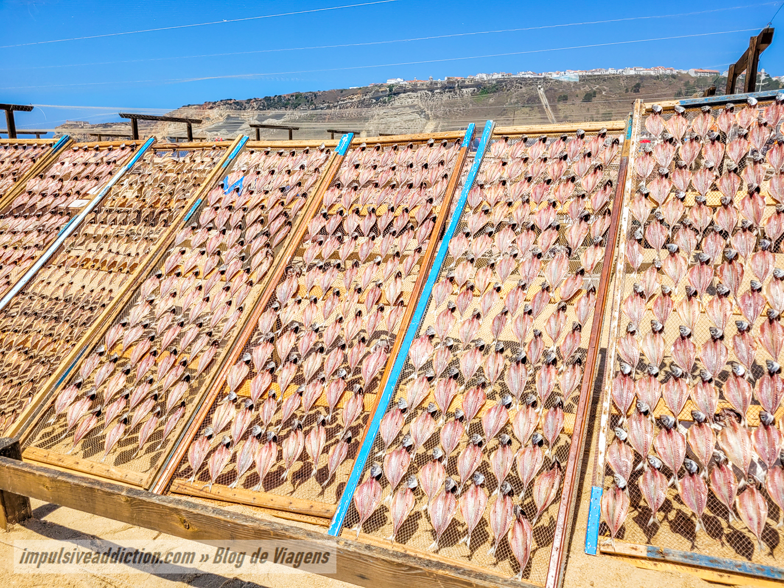 Nazaré Fish Drying Racks