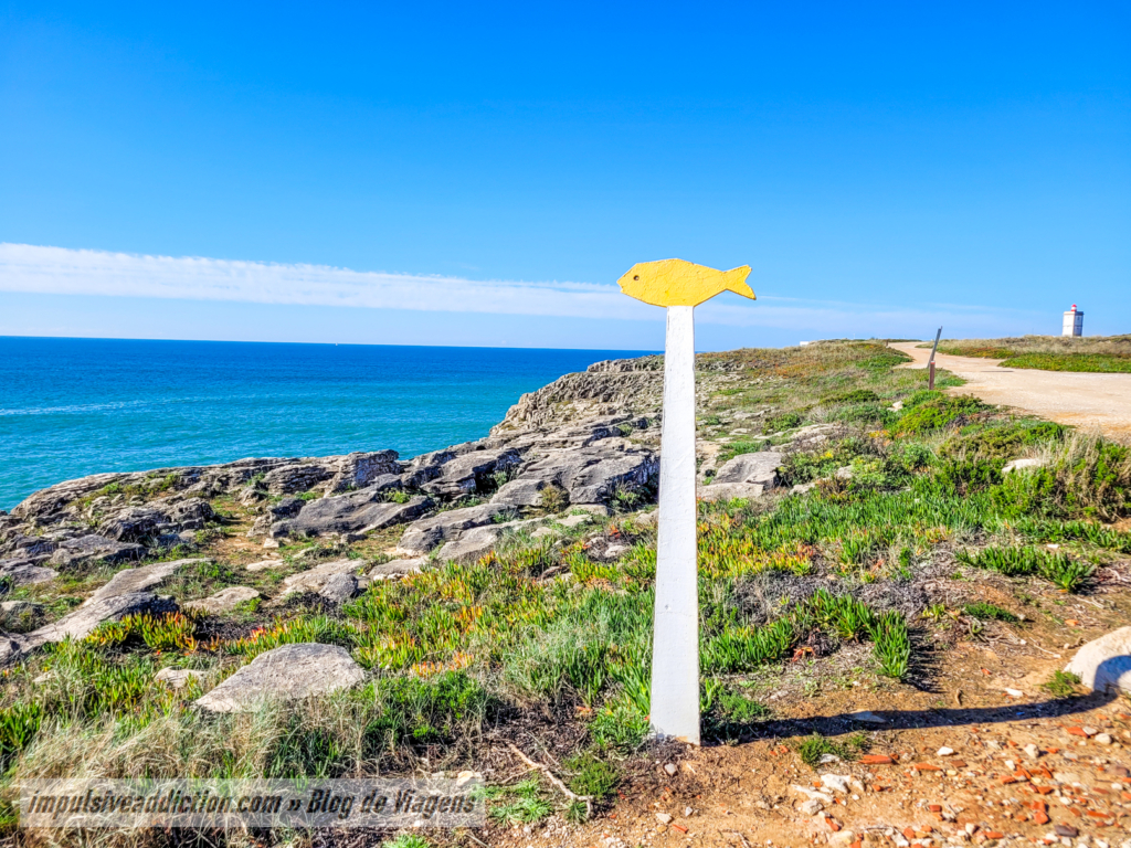 Fish-shaped arrows on the coast of Peniche