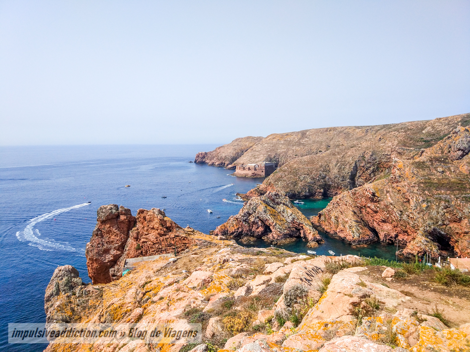 Visit Berlenga Island