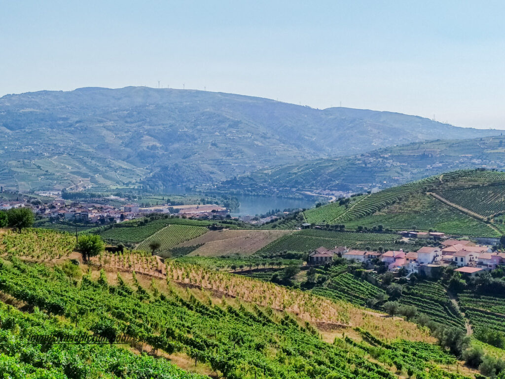 Douro Vinhateiro - EN2 Roteiro