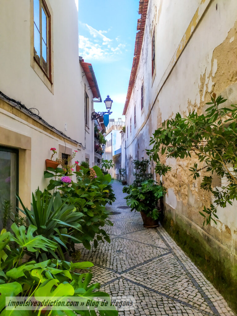 Ao Percorrer a Rua Barão Viamonte