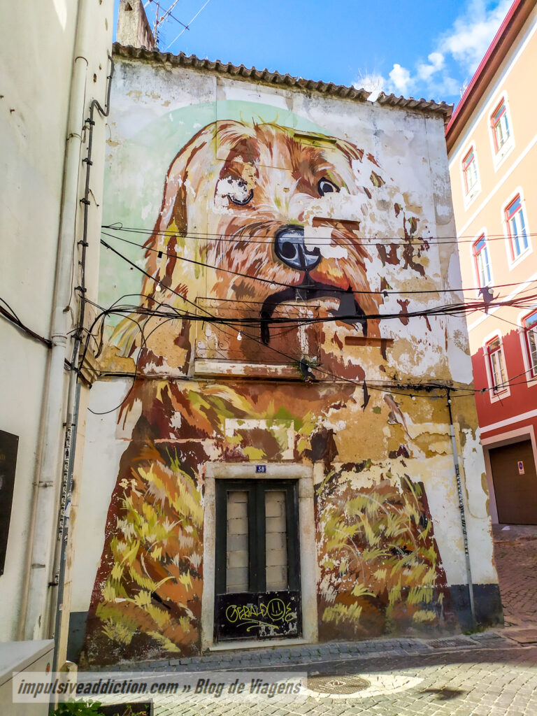 Ao Percorrer a Rua Barão Viamonte