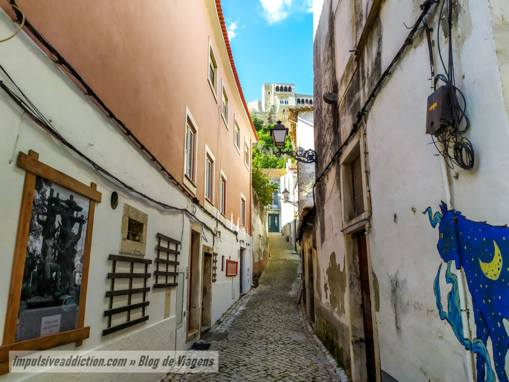 Ao Percorrer a Rua Barão Viamonte