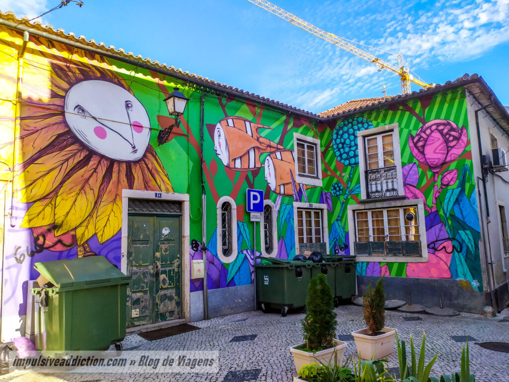 Ao Percorrer a Rua Barão Viamonte