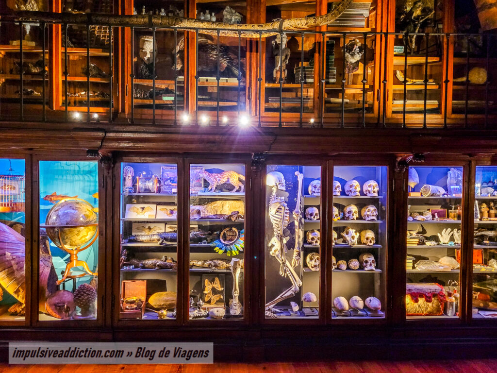 Cabinet of Curiosities of the University of Coimbra