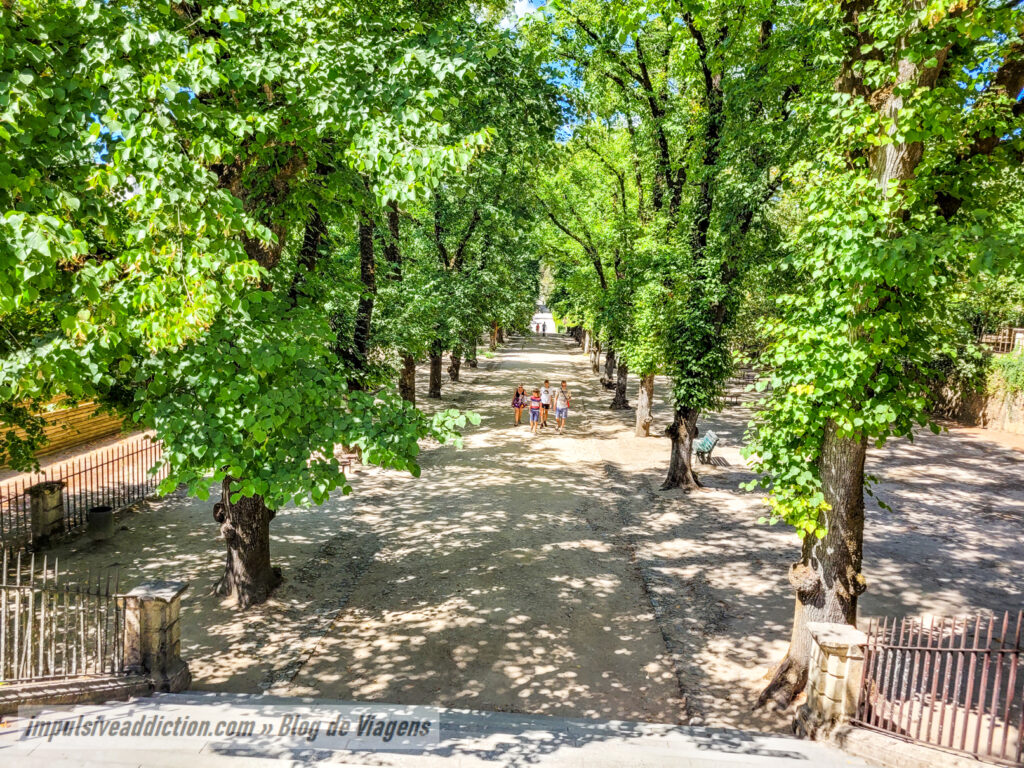 Botanical Garden of the University of Coimbra