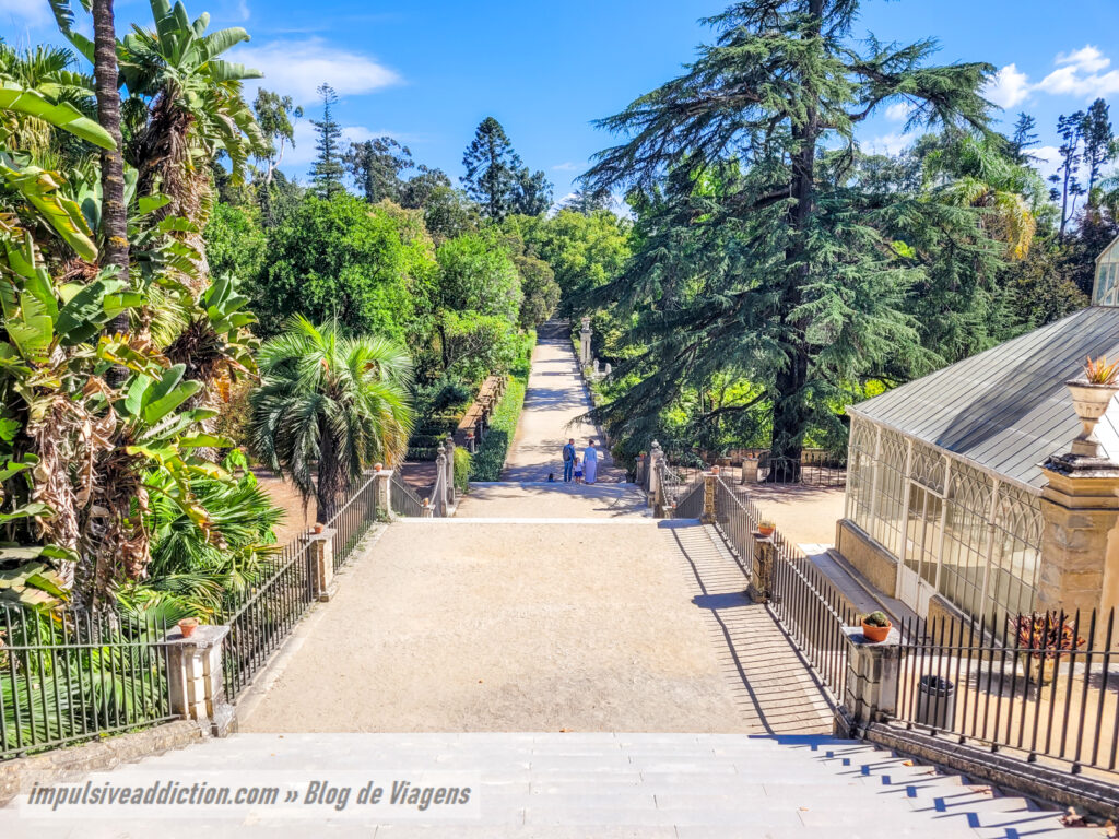 Jardim Botânico da Universidade de Coimbra