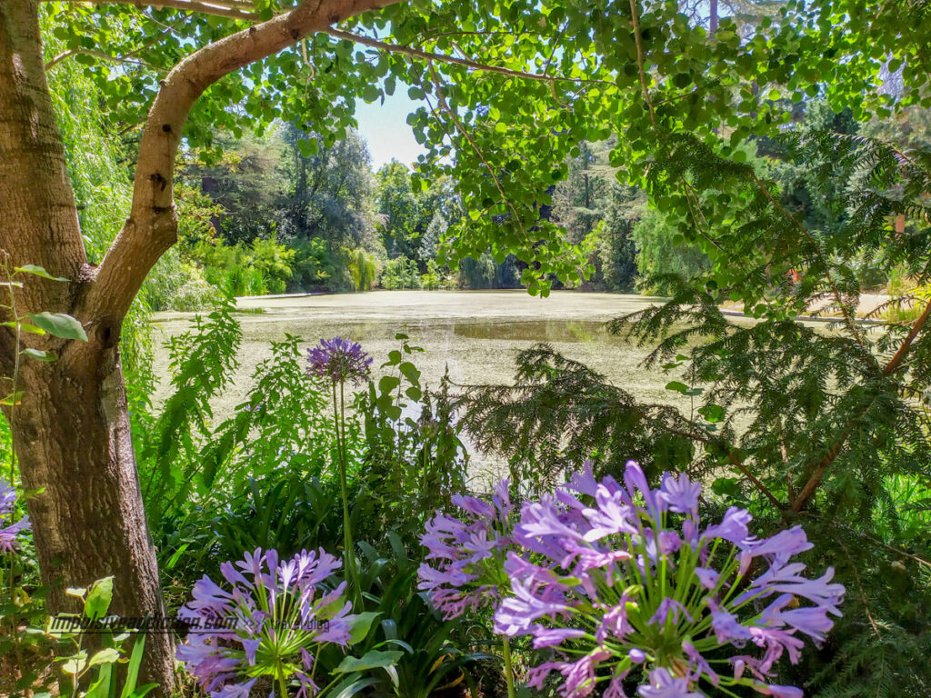 Lago no Parque Termal de Pedras Salgadas | Roteiro Estrada Nacional 2