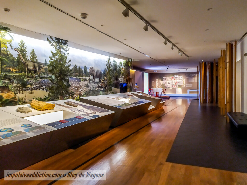 Exposição do Museu de Leiria