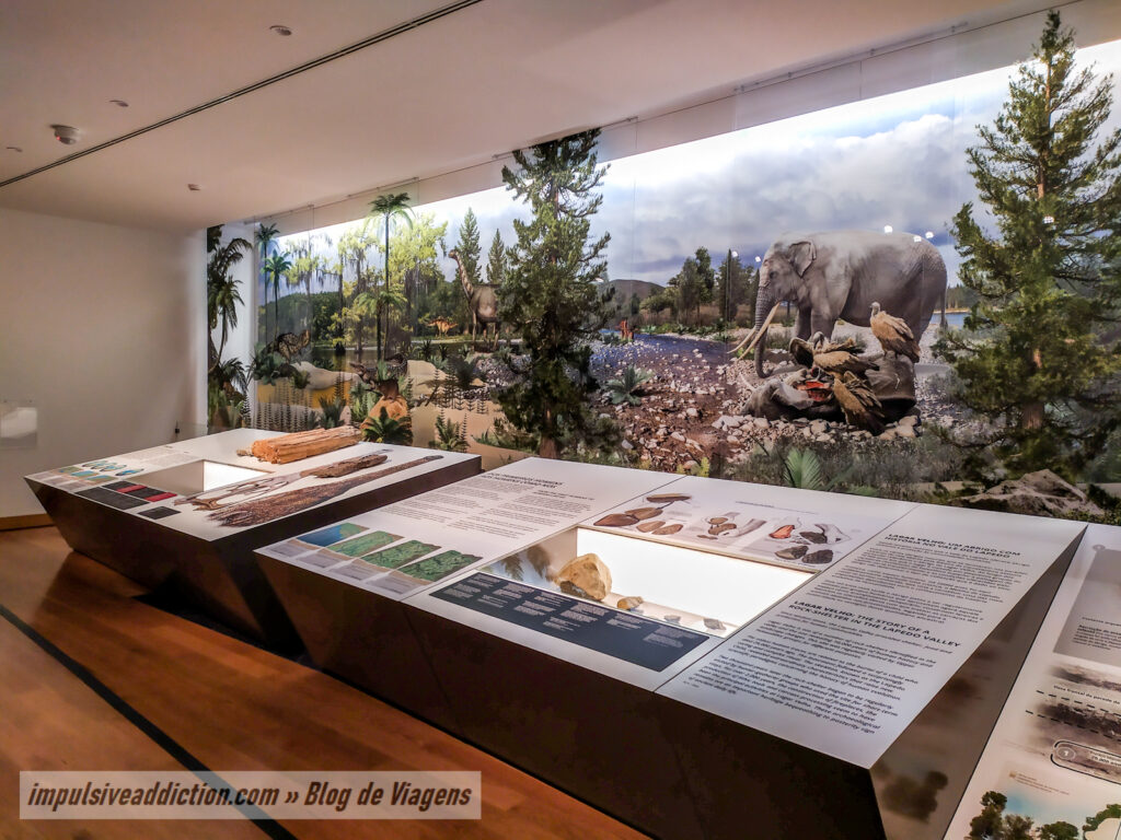 Exposição do Museu de Leiria
