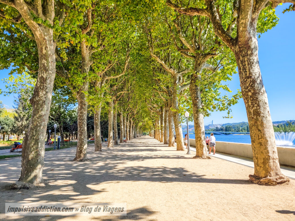 Coimbra City Park Avenue