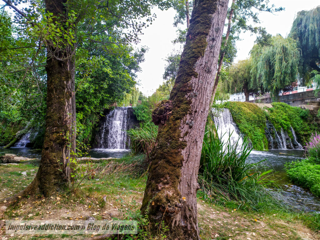 Cascatas do Parque dos Caniços