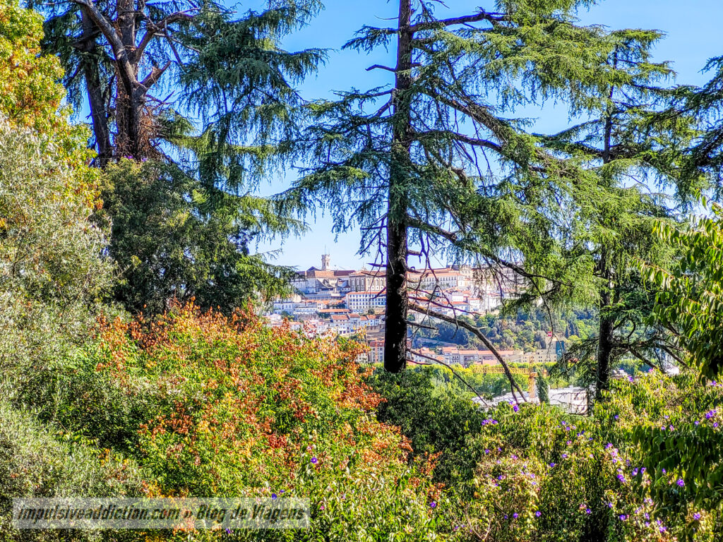 Viewpoint from Quinta das Lágrimas