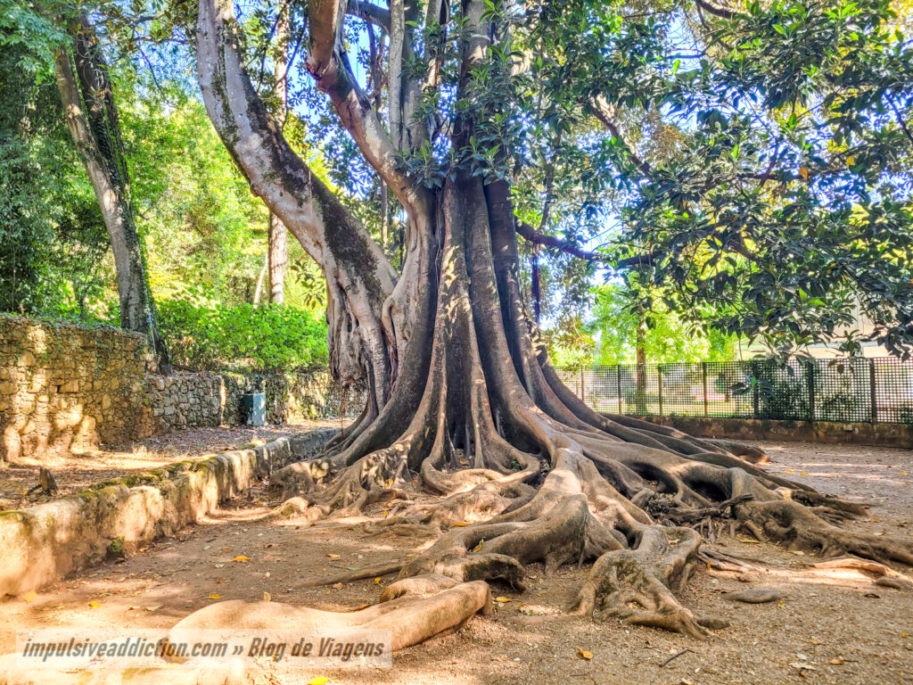Quinta das Lágrimas