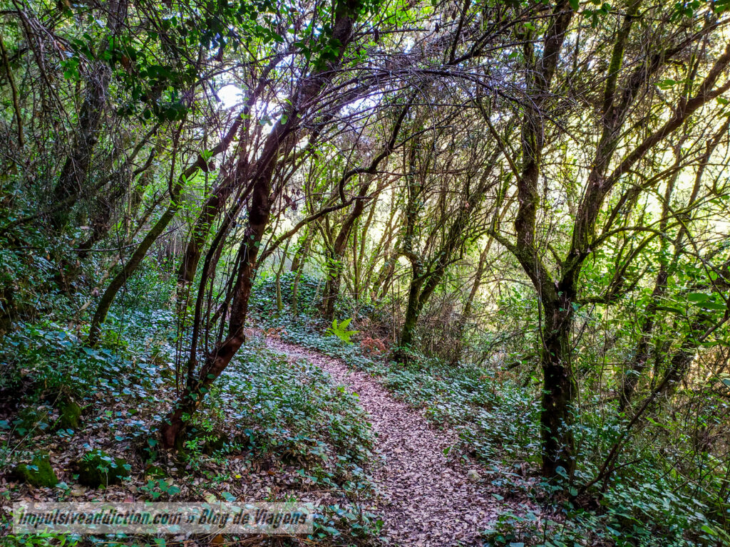 Trilho do Vale do Lapedo (PR1 ao visitar Leiria)