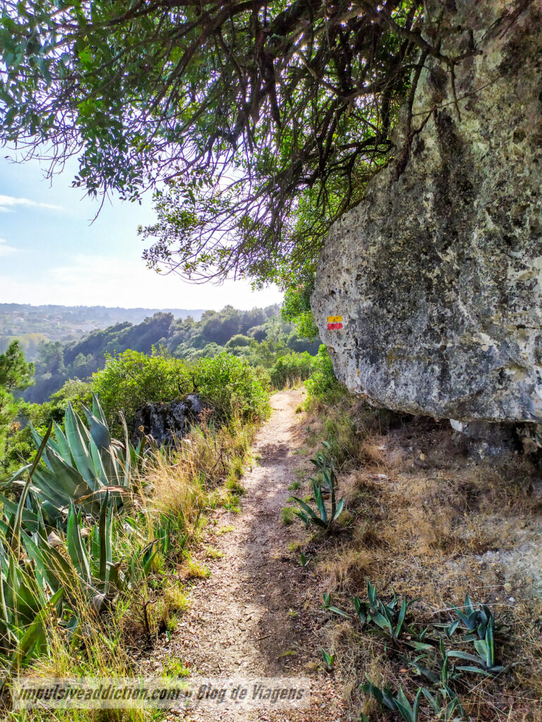 Trilho do Vale do Lapedo (PR1 ao visitar Leiria)