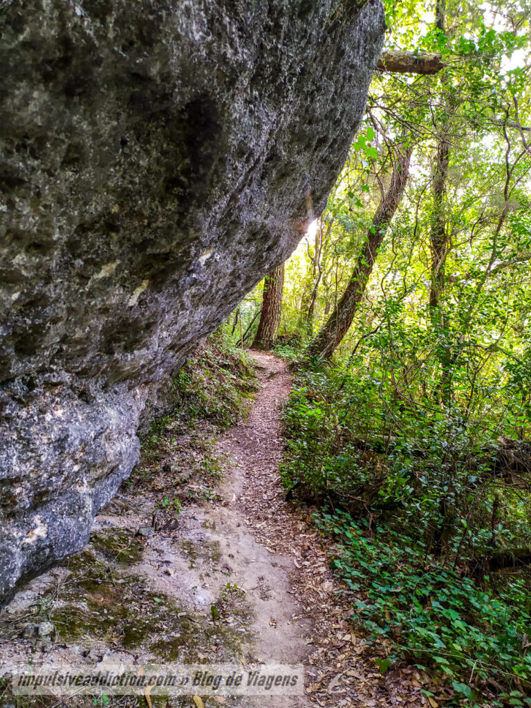 Trilho do Vale do Lapedo (PR1 ao visitar Leiria)