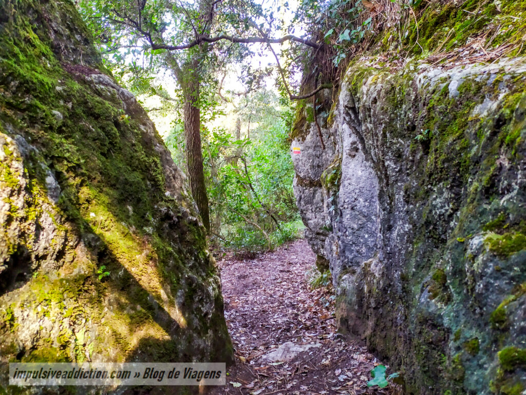 Trilho do Vale do Lapedo (PR1 ao visitar Leiria)
