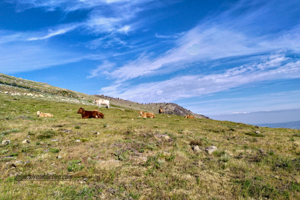 Roteiro Serra da Estrela: Vale Glaciar da Alforfa