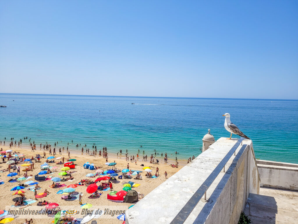 California Beach | Best Beaches in Sesimbra