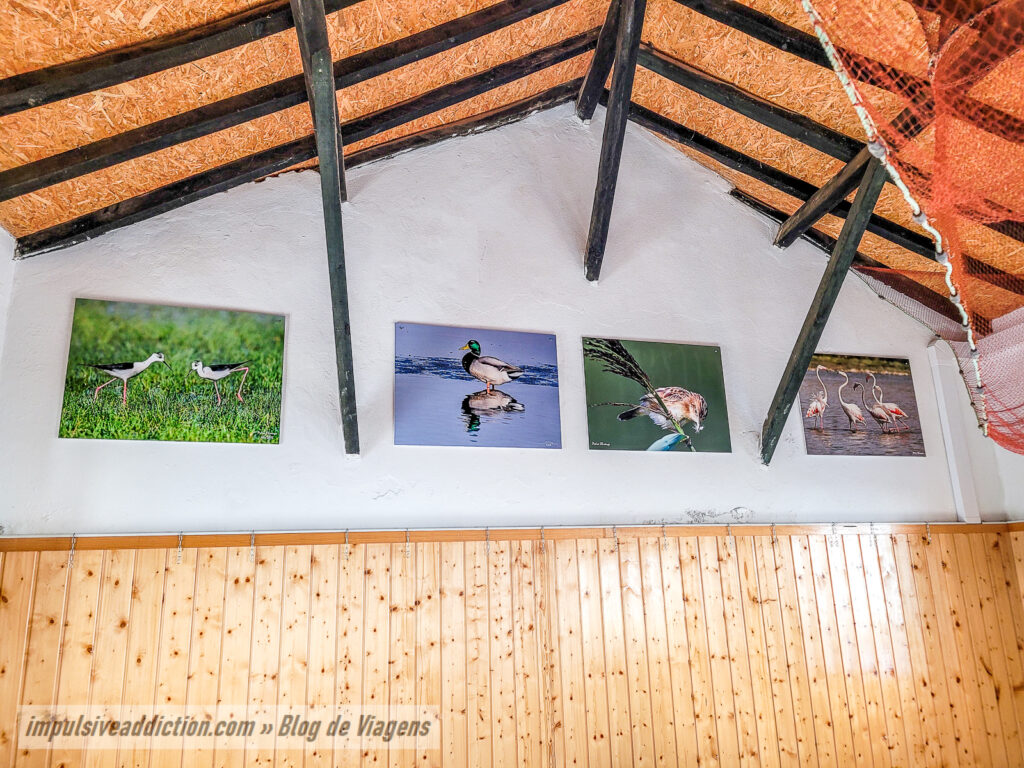 CILO - Centro de Interpretação da Lagoa de Óbidos