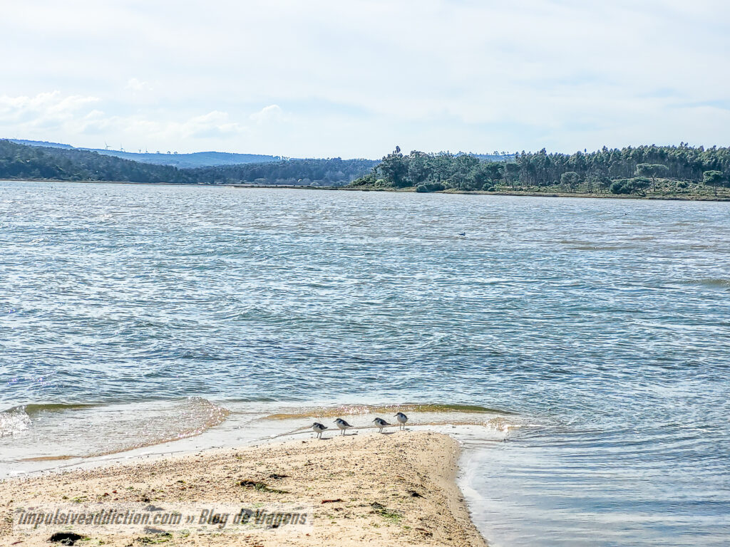 Ecovia da Lagoa de Óbidos