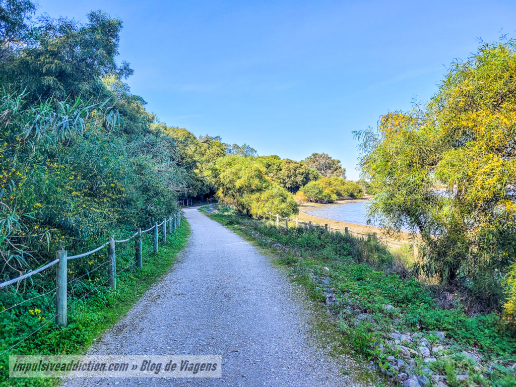 Ecovia da Lagoa de Óbidos