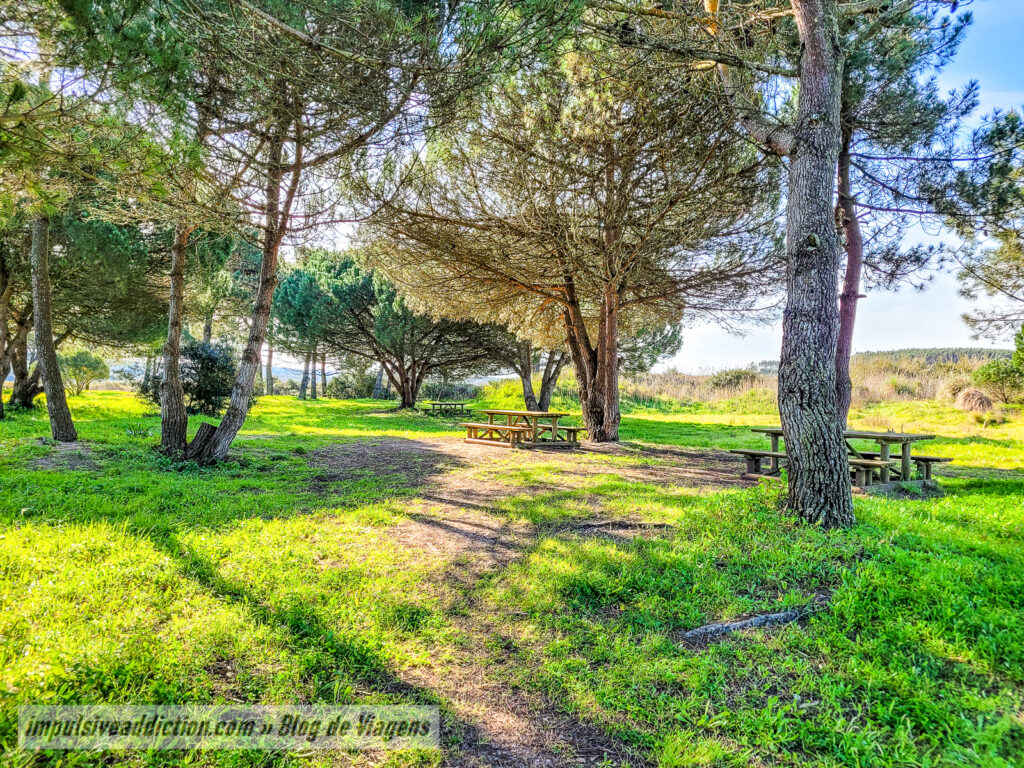 Ecovia da Lagoa de Óbidos - Parque das Salinas