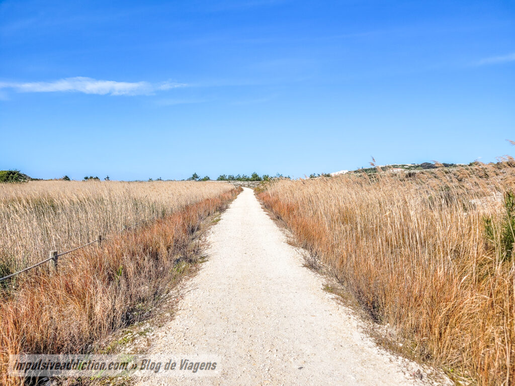 Ecovia da Lagoa de Óbidos