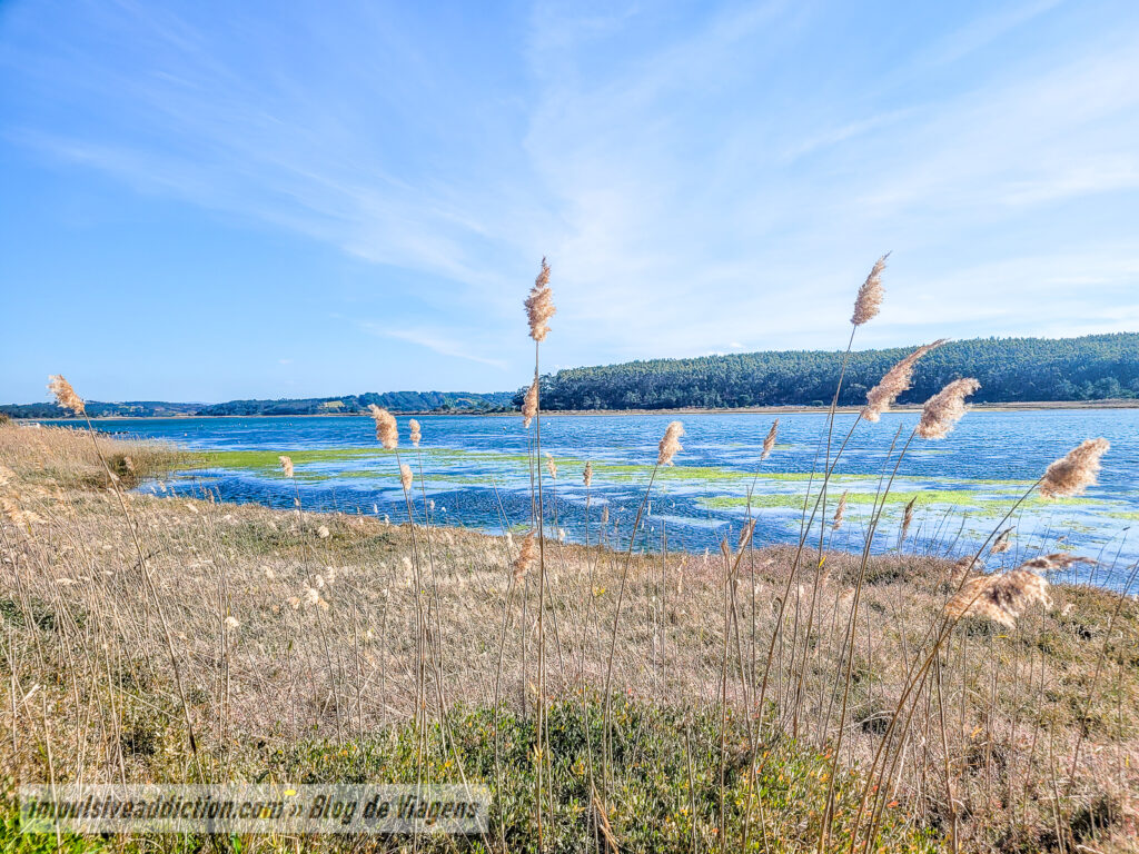Ecovia da Lagoa de Óbidos